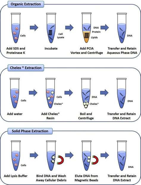 figure   optimising silica based solid phase dna extraction