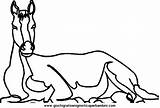 Cavalli Licorne Cavallo Caballos Konji 1246 Coloratutto Stampare Bojanke Pedeset četiri Disegnare Quando Crtež Ecrire sketch template