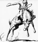 Bronc Cowboy Bucking Horses Shope Shorty Basha sketch template