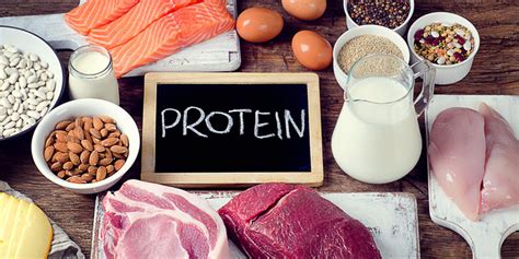 importance  protein  fit