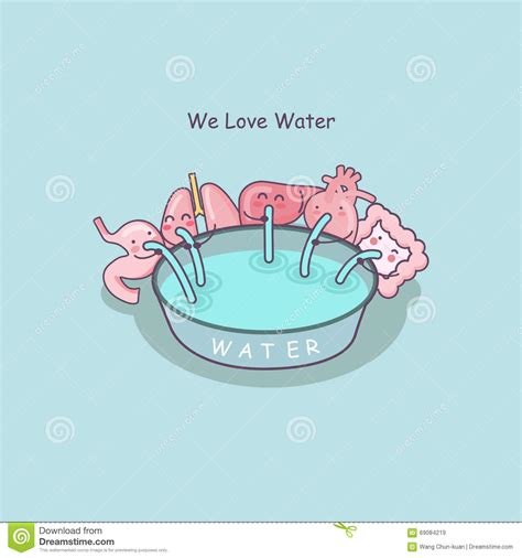 cute cartoon organs love water cartoon vector 69084219