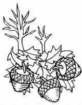 Coloring Acorn Oak Leaf Pages Falling Down Getdrawings Leaves Getcolorings sketch template