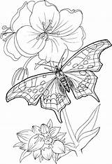 Coloring Flowers sketch template