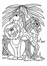 Coloring Zebra Giraffe Lion Large sketch template