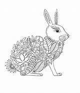 Coloring Forest Pages Enchanted Colouring Johanna Basford Adult Animal Garden Rabbit Book Mindfulness Inky Amazon Drawing sketch template