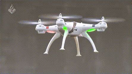 eagle trained    drones  dutch police gifs