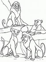 Pages Coloring Lion King Kiara Kovu Library sketch template