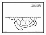 Symmetry Drawing Activities Activity Printable Kids Coloring Pages Worksheets Turtle Maze Vale Symmetrical Turtles Draw Complete Printables Artforkidshub Google Cat sketch template