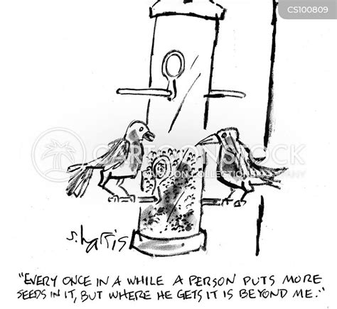 garden birds cartoons and comics funny pictures from