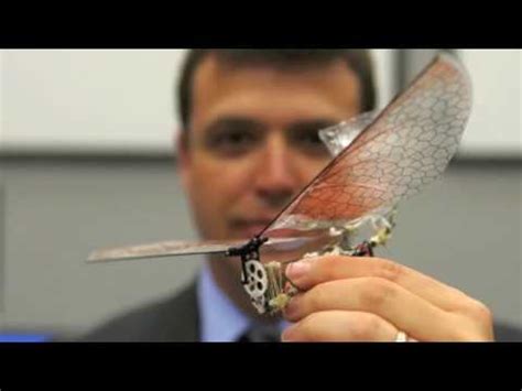 amazing  surveillance drones  size  insects youtube
