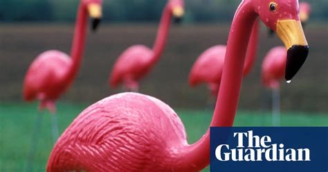 The Plastic Pink Flamingo In Pictures Culture The Guardian