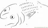Herring Connect Fish sketch template