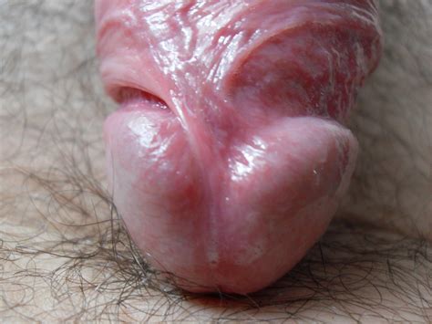 3 in gallery close up of my cock head with pre cum picture 4 uploaded by camelman1 on