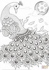Realistic Coloring Pages Peacock Getcolorings Cool sketch template