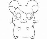 Coloring Pages Ham sketch template