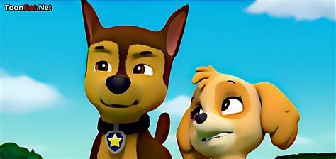 Skye And Chase Chase Paw Patrol Fan Art 40899084