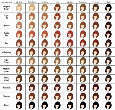 31 Charts That Ll Help You Have The Best Hair Of Your Life Hair Dye