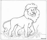 Animals Coloring Pages Wild Lion Kids Pitara sketch template