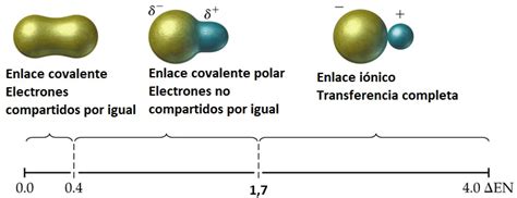 se puede entender  hay una continuidad entre el enlace covalente