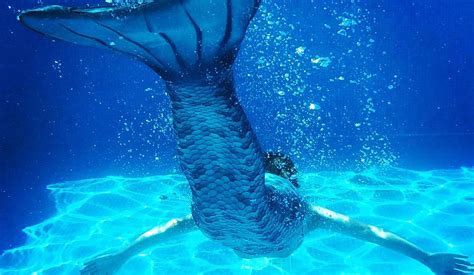 como hacer fotos bajo el agua kuaki mermaids