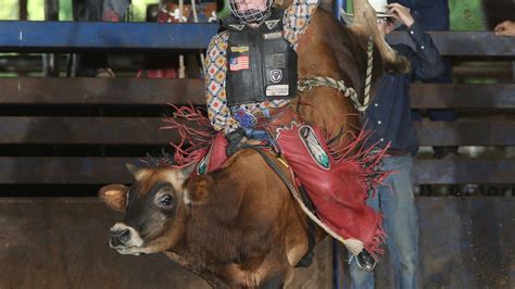 kids  ride miniature bulls   world rodeo championship  mesquite  week