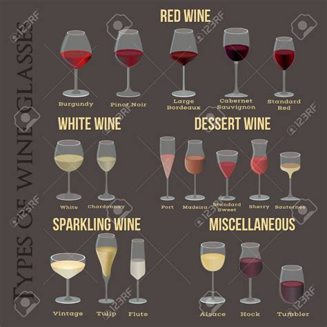 Stock Vector In 2020 Types Of Wine Glasses Types Of