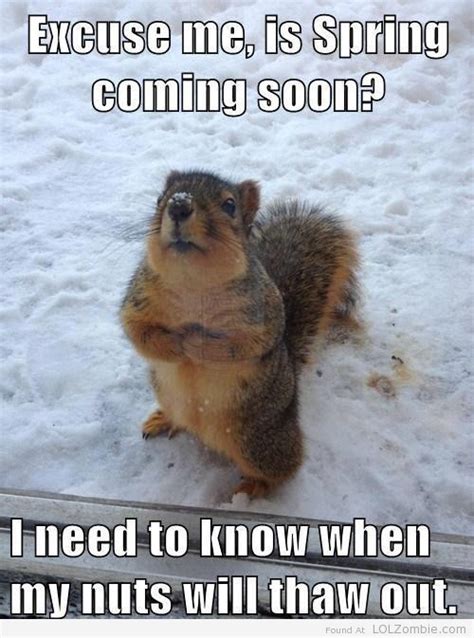 is it spring yet i m waiting for my nuts to thaw out