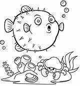 Fish Puffer Coloring Pages Cute Born Cartoon sketch template