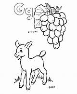 Coloring Goat Grapes Pages Alphabet Letter Abc Activity Sheet Sheets Printable Color Print Kids Honkingdonkey Letters Pre Colouring Primary Numbers sketch template