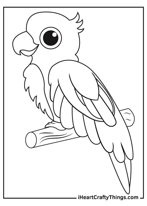 printable parrots coloring pages updated