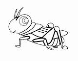 Grasshopper Coloring Fun Clipart Drawing Coloringcrew Insects sketch template