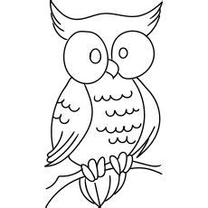 top   printable owl coloring pages  owl coloring pages