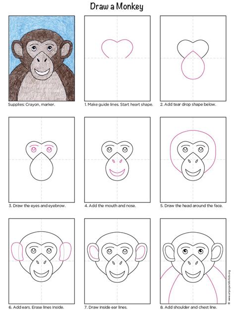 draw  monkey step  step easy  kids