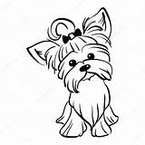 Coloring Yorkie Pages Yorkshire Terrier Sketchite источник рисунок собачка sketch template
