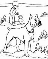 Boxer Dog Coloring Pages Keeper Safe Master His sketch template