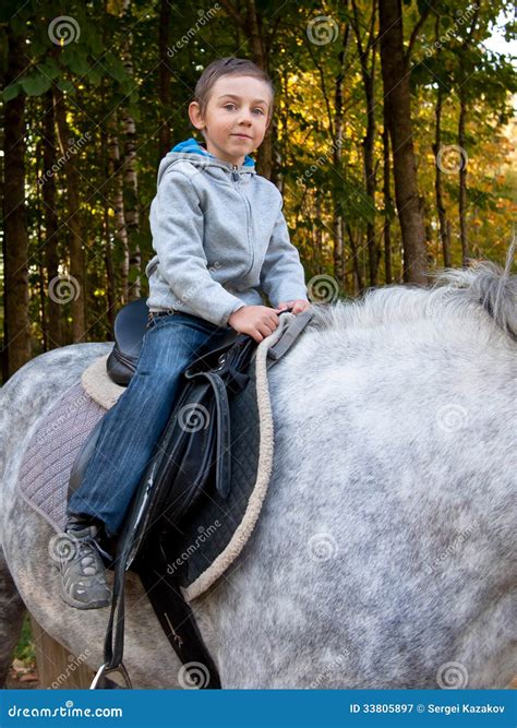 boy riding  horse stock image image  relaxation
