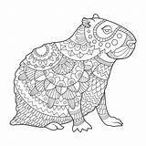 Capybara Coloriage Illustrazione Mammifero Animale Siluetta Roditore sketch template