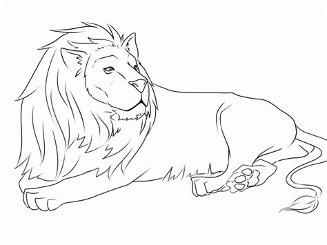 high resolution lion coloring page coloring home