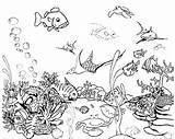 Fish Coloring Pages Saltwater Printable Getcolorings sketch template