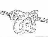 Snake Coloring Pages Getdrawings Sea Color sketch template
