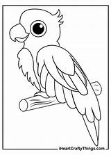 Papagaio Parrots Iheartcraftythings sketch template