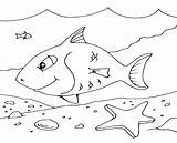 Malvorlagen Ausmalbilder Printable Unterwasserwelt Ausmalen Dekoking Regenbogenfisch Schoene Tiere sketch template