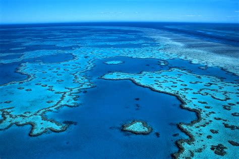 travel   australia    great barrier reef
