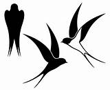 Silhouette Swallow Swallows Clipart Logo Svg Etsy Vector Getdrawings Silhouettes sketch template