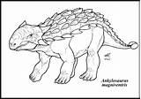 Ankylosaurus Magniventris sketch template