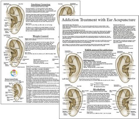 smoking cessation ear acupuncture point chart clinical charts and