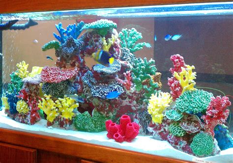 instant reef dm artificial coral inserts decor fake coral reef
