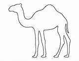 Camel Pattern Outline Printable Craft Template Coloring Crafts Patternuniverse Patterns Print Camels Templates Kids Stencil Use Cut Animal Pdf Christmas sketch template