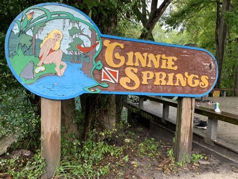 advocate  citizens  holding ginnie springs accountable group  making progress