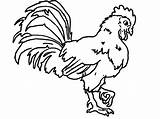 Rooster Coloring Pages Kids Scratching Soil Print Drawing Getcolorings Fight Colouring Getdrawings Printable Color sketch template